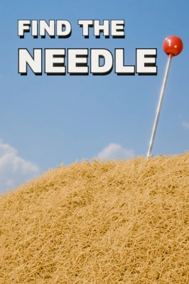 Find The Needle Box Art